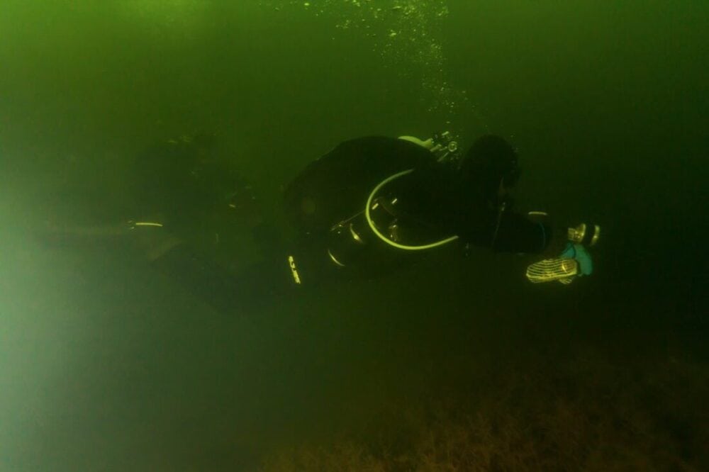 Jak Boże Narodzenie to koniecznie musi być... nurkowa wigilia 15 nurkowa wigilia