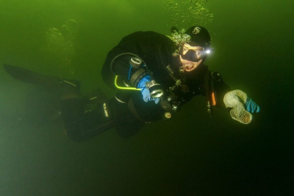 Jak Boże Narodzenie to koniecznie musi być... nurkowa wigilia 18 nurkowa wigilia