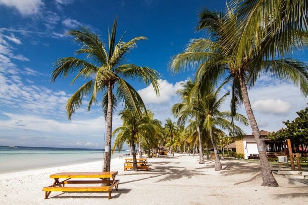 Bohol na Filipinach co zobaczyć - 7 ciekawych miejsc 44 bohol na filipinach