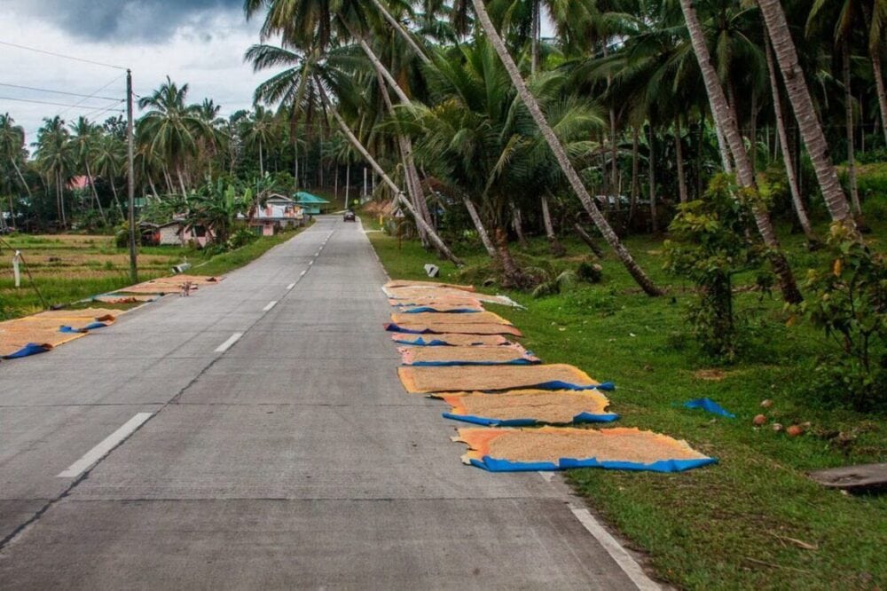Bohol na Filipinach co zobaczyć - 7 ciekawych miejsc 43 bohol na filipinach