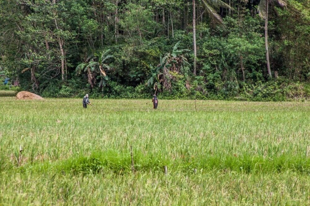Bohol na Filipinach co zobaczyć - 7 ciekawych miejsc 41 bohol na filipinach