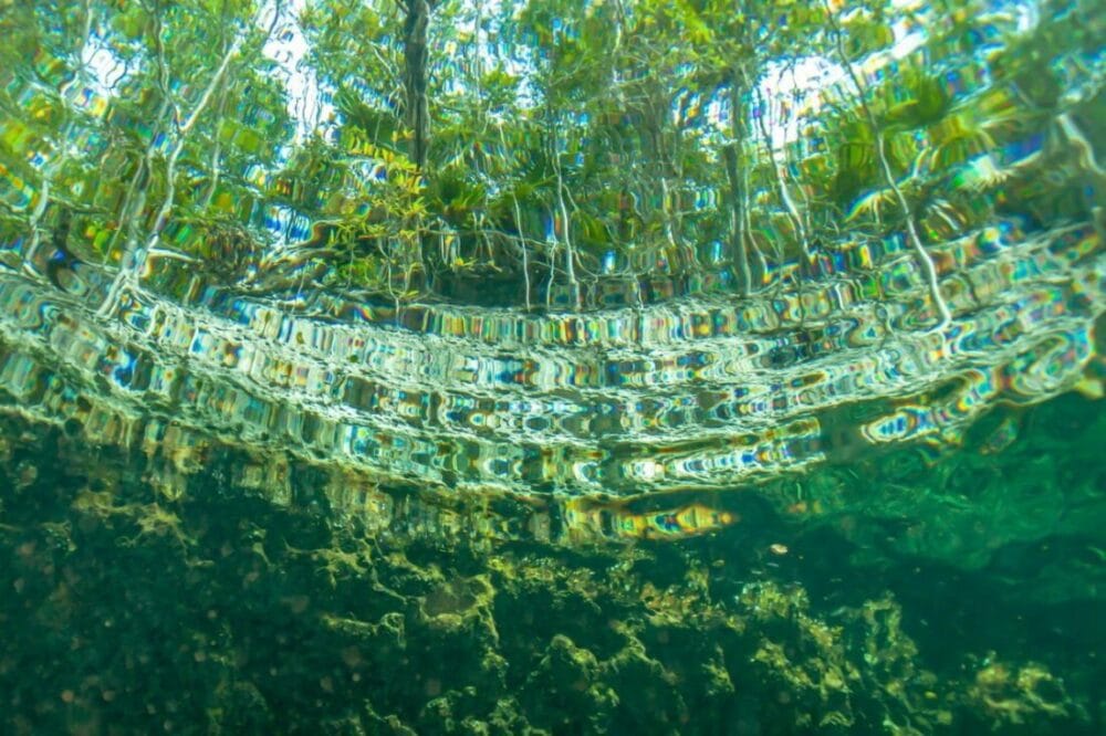 Nurkowanie Kuba - Playa Larga - co warto wiedzieć 32 jaskinie słodkowodne pod wodą na kubie