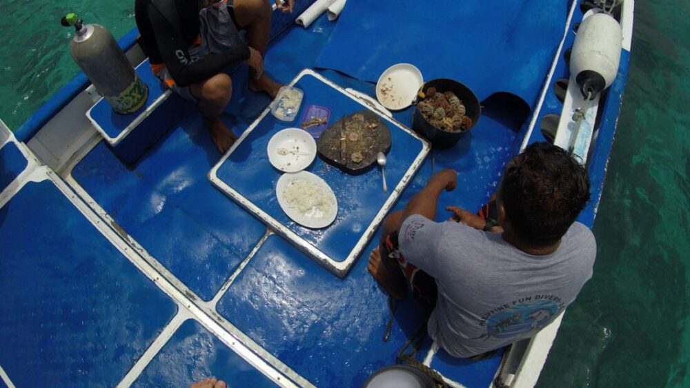 Nurkowanie na Filipinach - dlaczego chcemy wrócić na Balicasag ? 43 nurkowanie na filipinach