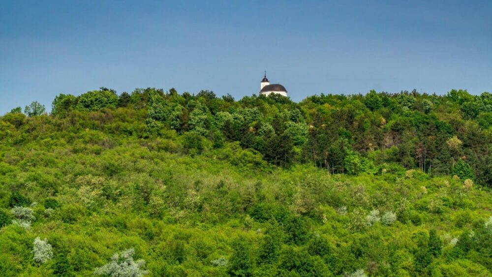 Dom Winny Szedmak Borhaz - Tokaj - czego nie wiecie a warto ... 20 Dom Winny Szedmak Borhaz
