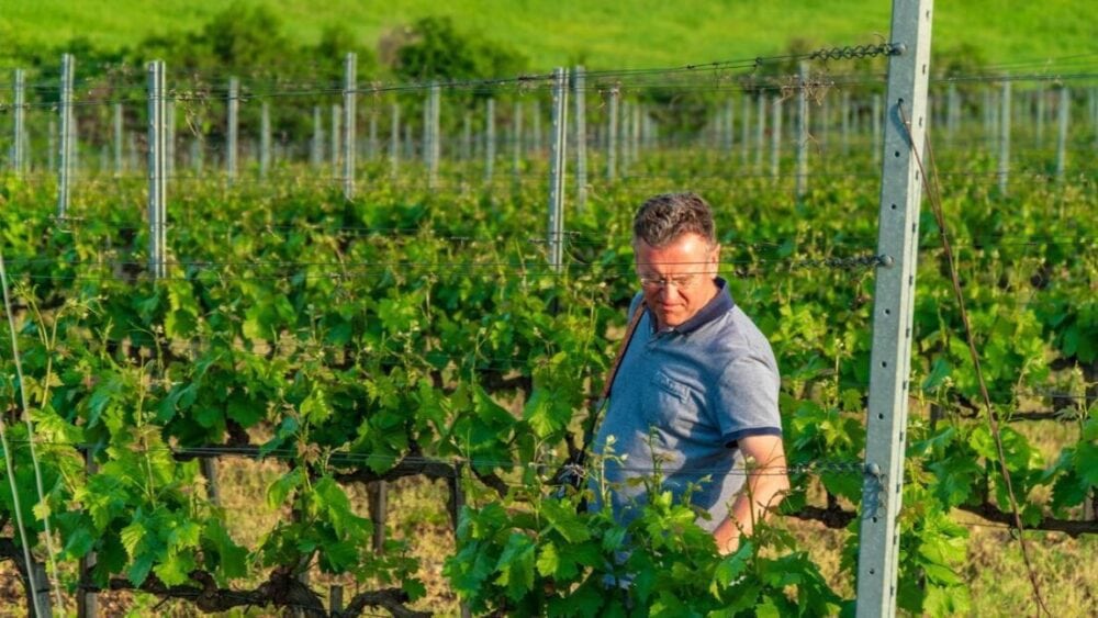Dom Winny Szedmak Borhaz - Tokaj - czego nie wiecie a warto ... 33 winnica w Tokaju