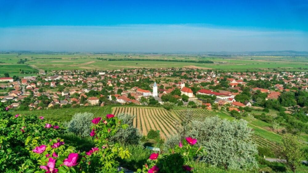 Dom Winny Szedmak Borhaz - Tokaj - czego nie wiecie a warto ... 39 Dom Winny Szedmak Borhaz