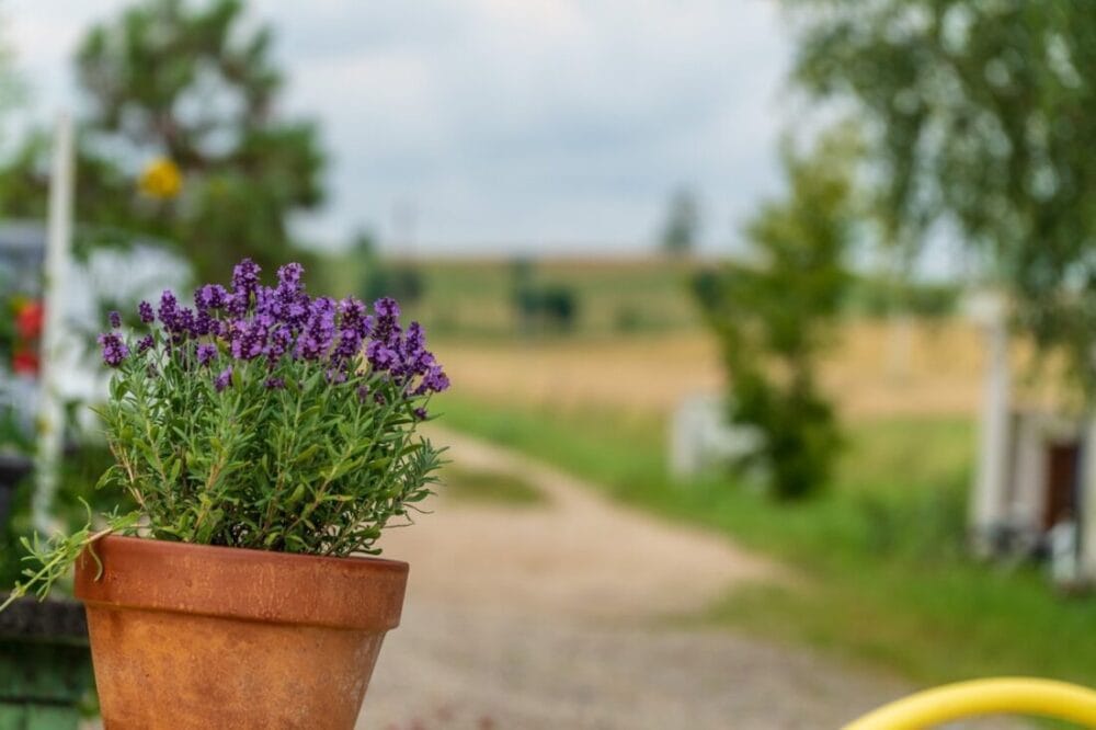 Warmia nie zawsze święta - malownicza kraina ludzi z duszą 40 Warmia nie zawsze święta