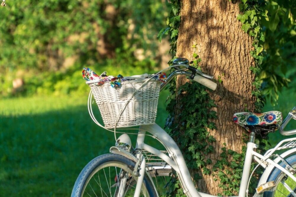 Warmia nie zawsze święta - malownicza kraina ludzi z duszą 19 Warmia nie zawsze święta