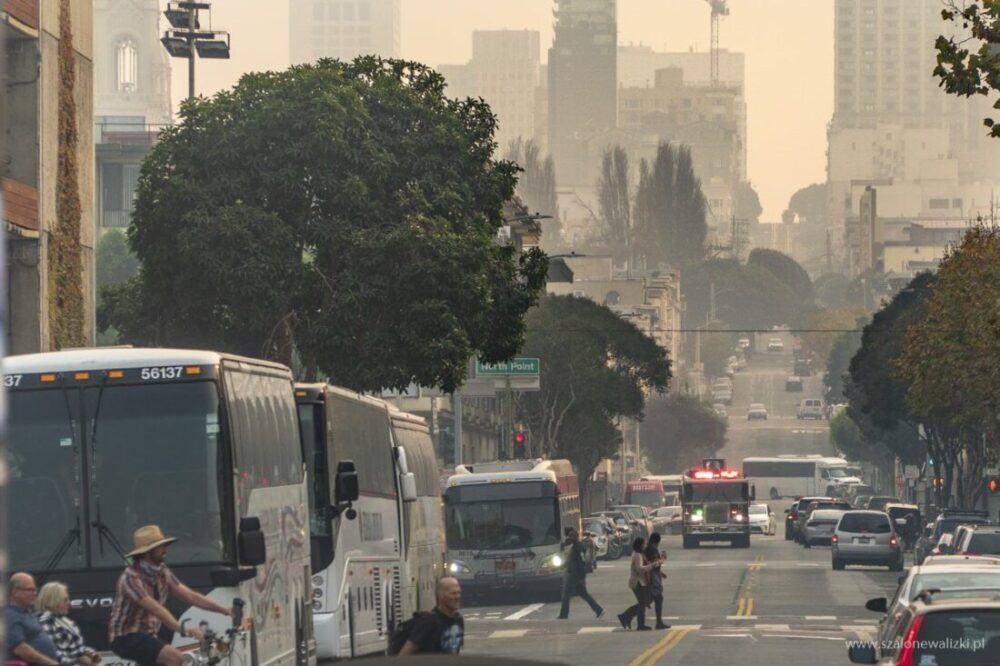 TOP 6 - najciekawsze miejsca, które trzeba zobaczyć w San Francisco 6 san francisco