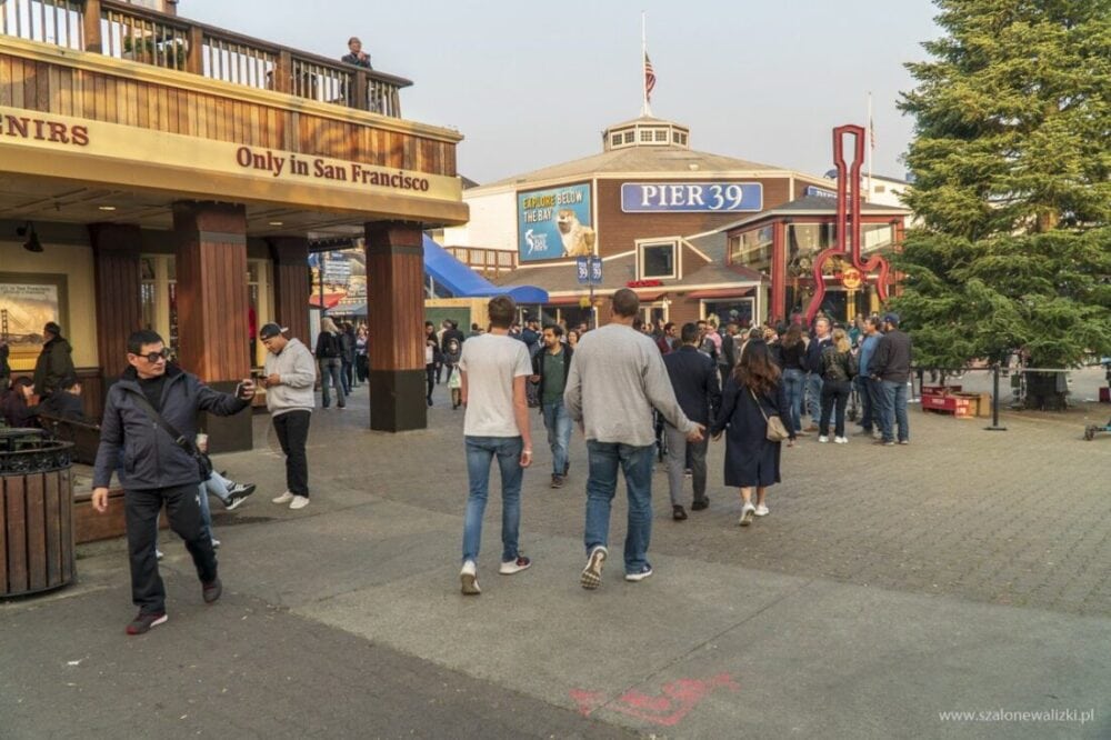 TOP 6 - najciekawsze miejsca, które trzeba zobaczyć w San Francisco 11 san francisco