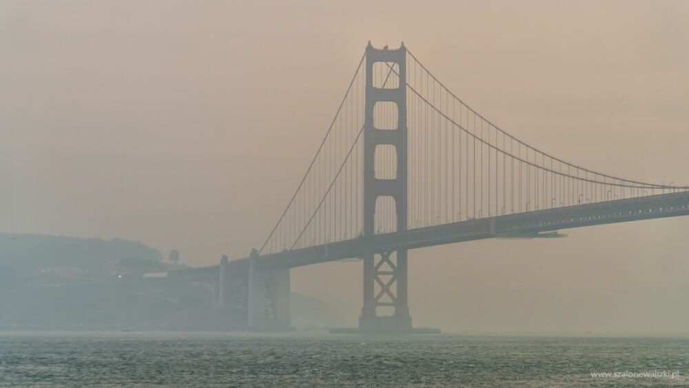 TOP 6 - najciekawsze miejsca, które trzeba zobaczyć w San Francisco 22 san francisco