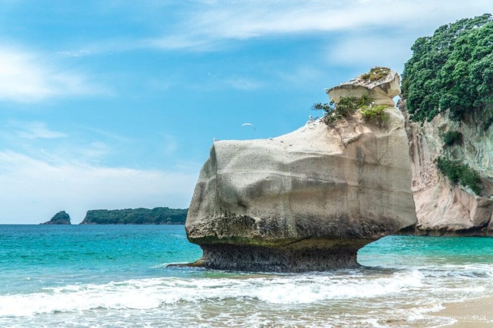 Cathedral Cove - Nowa Zelandia - magiczne okno Półwyspu Coromandel 11 cathedral cove - nowa zelandia