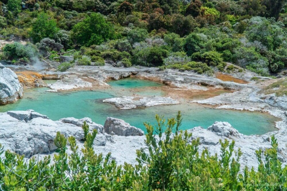 Rotorua i Te Puia - geotermalna stolica Nowej Zelandii 19 geotermalna stolica Nowej Zelandii