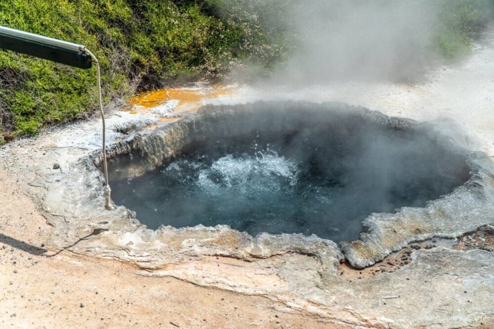 Rotorua i Te Puia - geotermalna stolica Nowej Zelandii 25 geotermalna stolica Nowej Zelandii