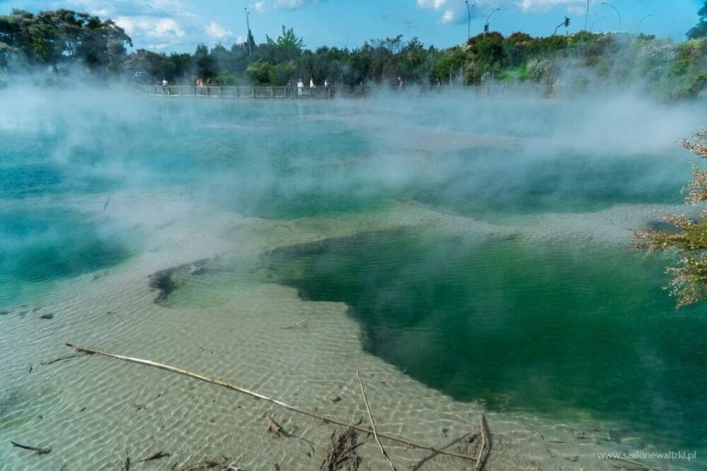 Rotorua i Te Puia - geotermalna stolica Nowej Zelandii 42 geotermalna stolica Nowej Zelandii