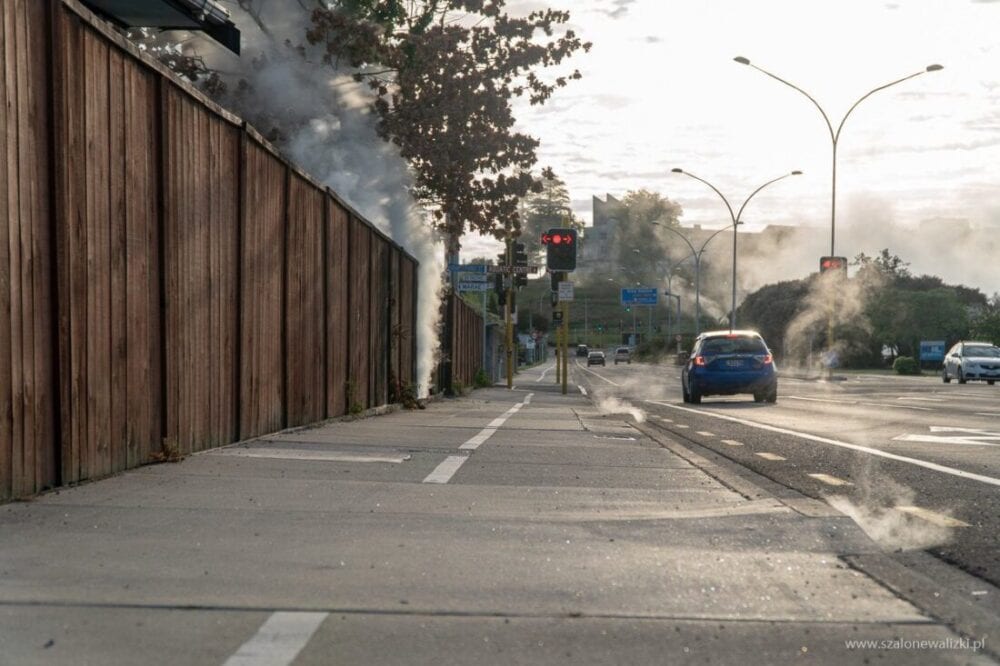 Rotorua i Te Puia - geotermalna stolica Nowej Zelandii 41 geotermalna stolica Nowej Zelandii