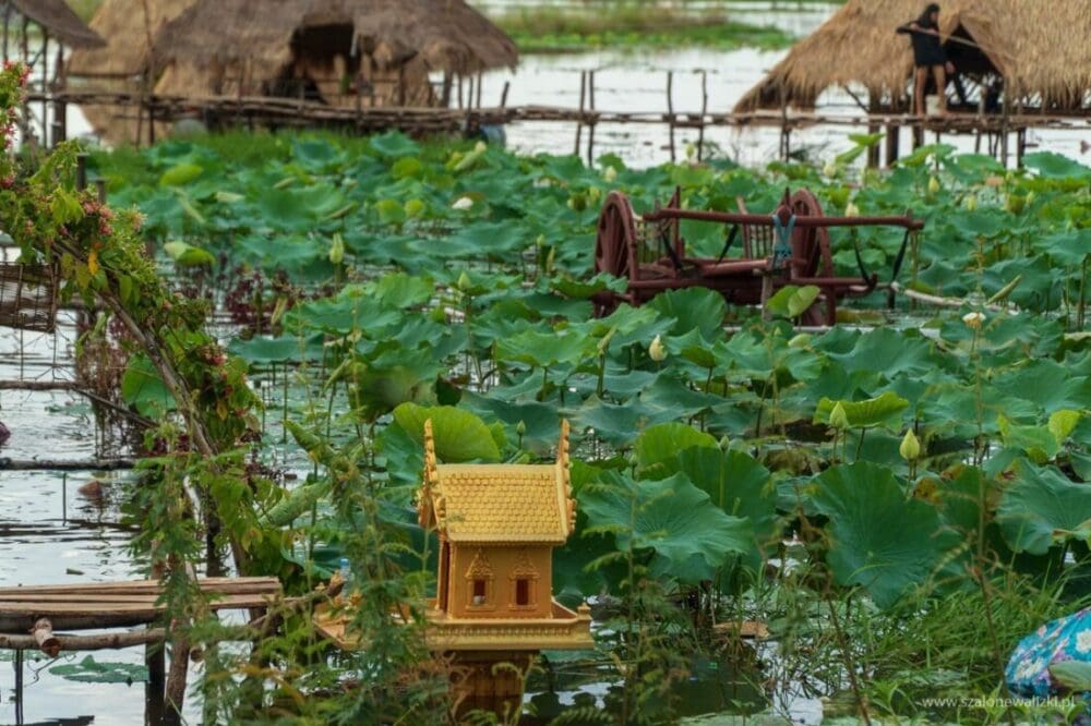 tonle sap w kambodży