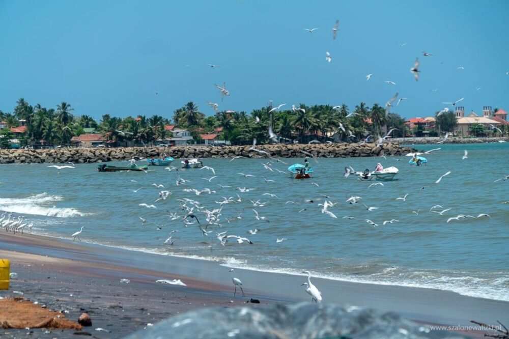 Najpiękniejsze plaże Sri Lanki - przegląd subiektywny Szalonych Walizek 41 najpiękniejsze plaże Sri Lanki
