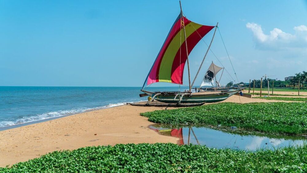 Najpiękniejsze plaże Sri Lanki - przegląd subiektywny Szalonych Walizek 43 najpiękniejsze plaże Sri Lanki