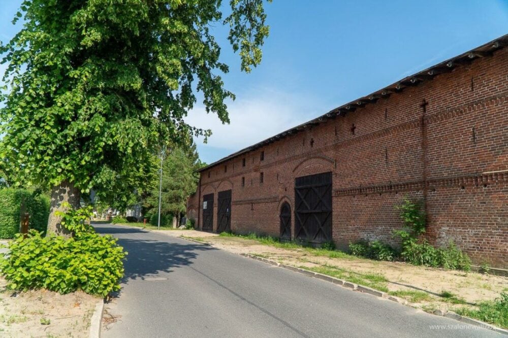 zaginiona kultura jamneńska