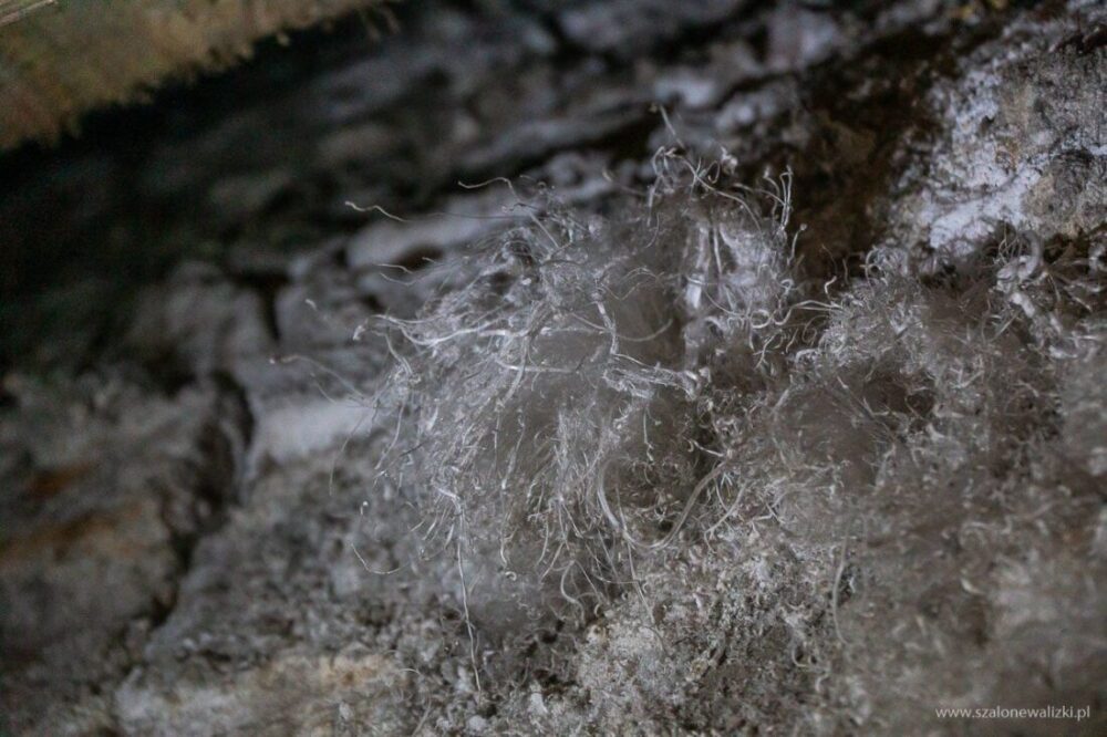 Kopalnia Soli "Wieliczka" - co ciekawego kryje skarb dziedzictwa UNESCO 101 włosy św. Kingi w Wieliczce