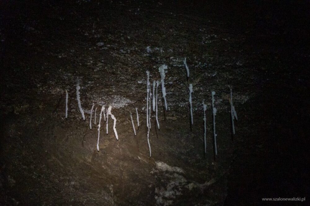Kopalnia Soli "Wieliczka" - co ciekawego kryje skarb dziedzictwa UNESCO 105 wieliczka