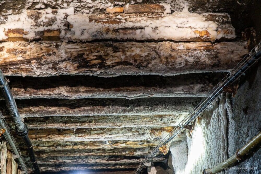 Kopalnia Soli "Wieliczka" - co ciekawego kryje skarb dziedzictwa UNESCO 103 wieliczka