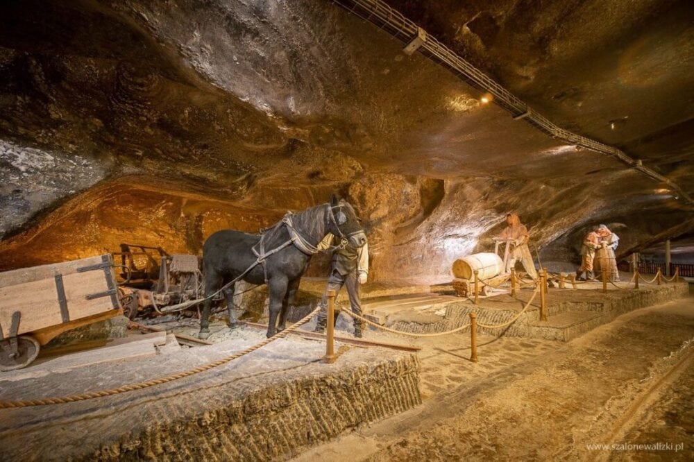 Kopalnia Soli "Wieliczka" - co ciekawego kryje skarb dziedzictwa UNESCO 92 wieliczka