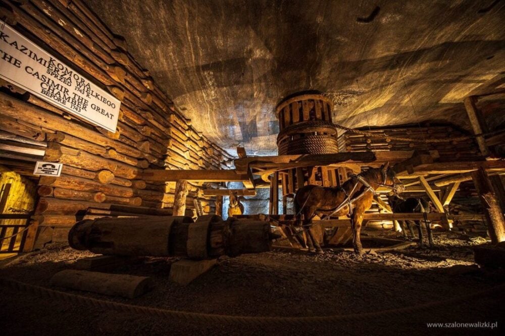 Kopalnia Soli "Wieliczka" - co ciekawego kryje skarb dziedzictwa UNESCO 127 król kazimierz wielki