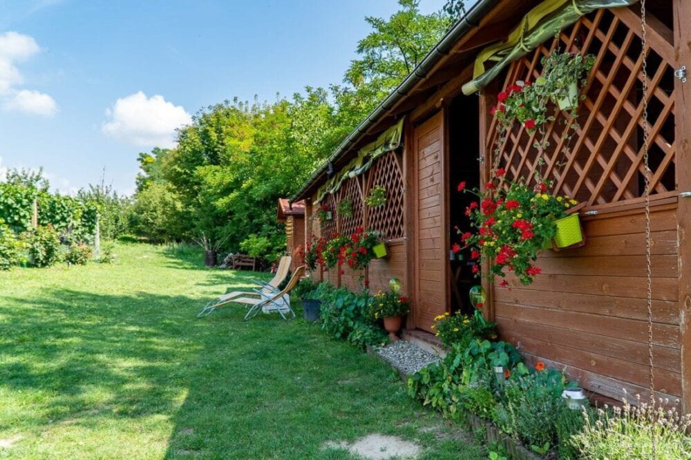 Winnica Nad Jarem koło Sandomierza. Hobby czy już pomysł na życie? 57 altana do degustacji