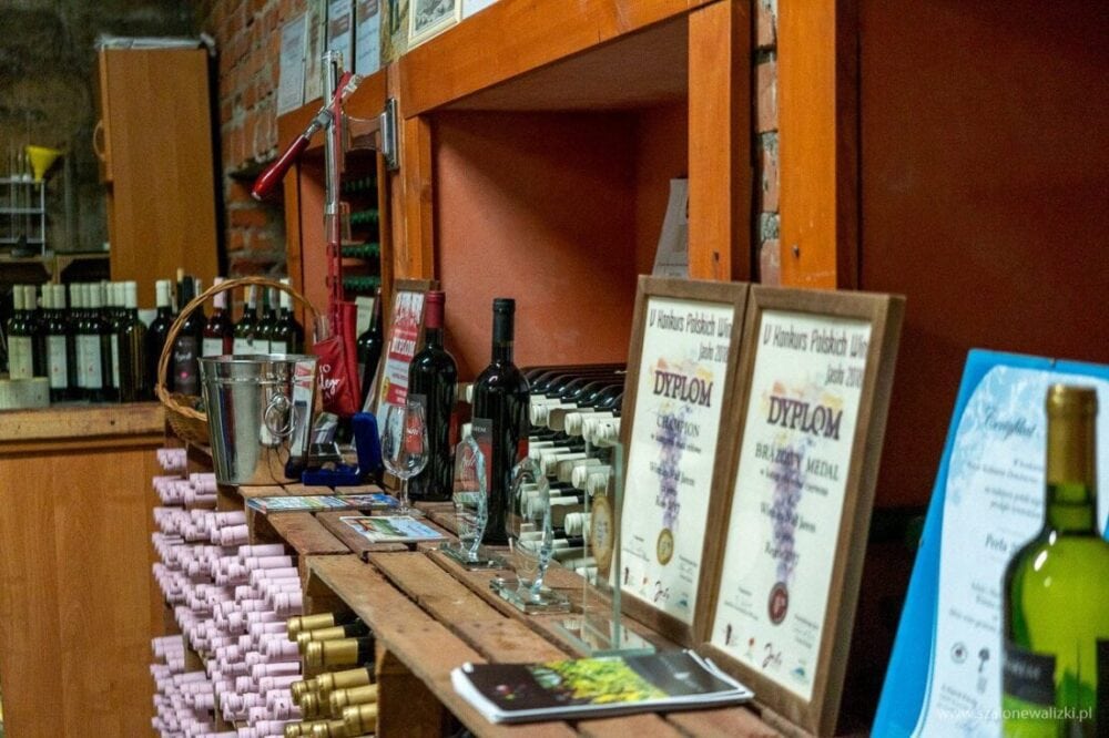 Winnica Nad Jarem koło Sandomierza. Hobby czy już pomysł na życie? 58 winiarnia nad jarem