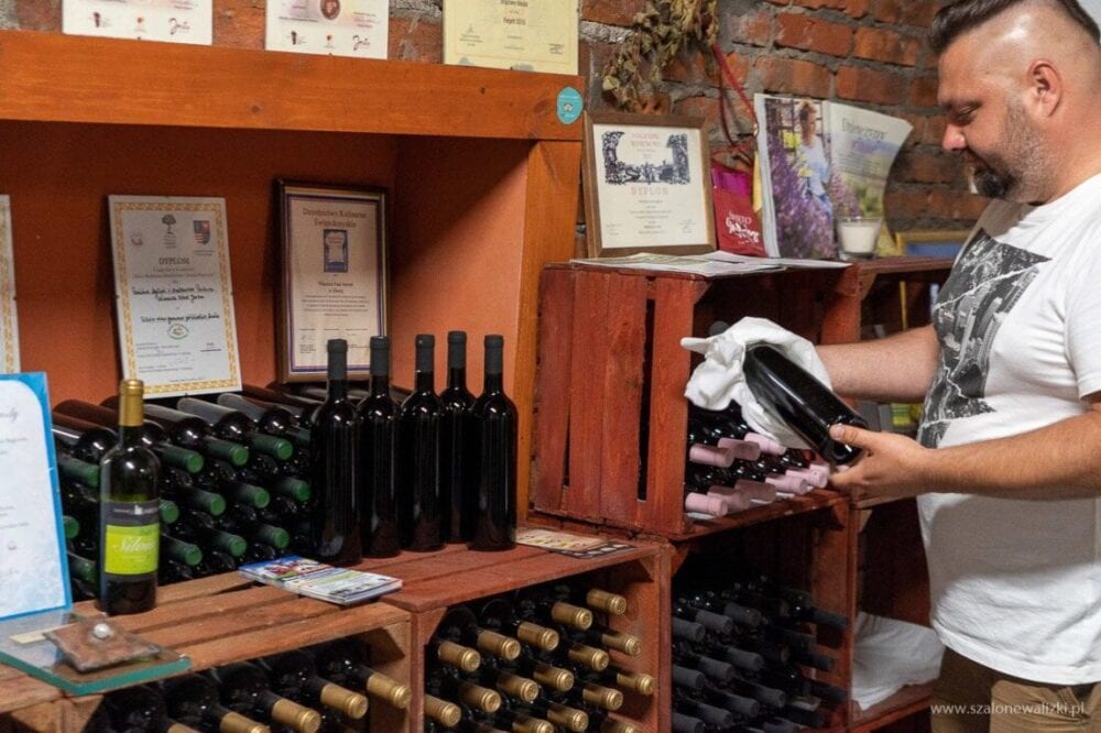 Winnica Nad Jarem koło Sandomierza. Hobby czy już pomysł na życie? 53 winnica nad jarem