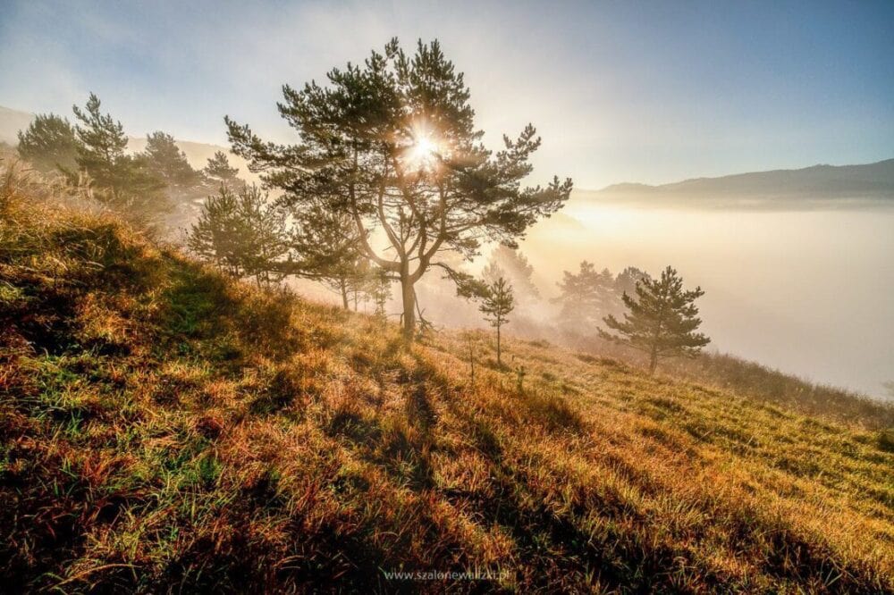 20 pomysłów na najlepsze prezenty podróżnicze 2019 47 tatry