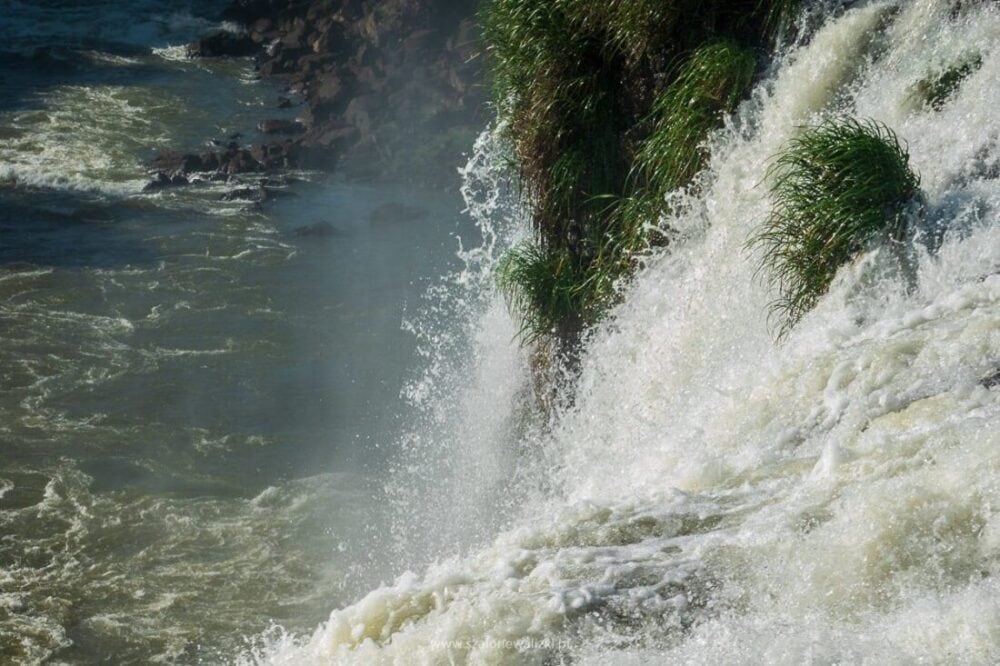 Iguazu - przewodnik po najpiękniejszym wodospadzie świata 43 iguazu
