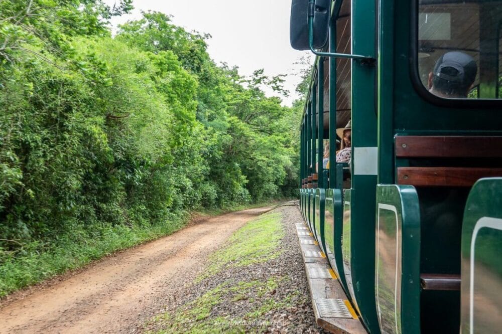 Iguazu - przewodnik po najpiękniejszym wodospadzie świata 50 kolejka w foz do iguazu