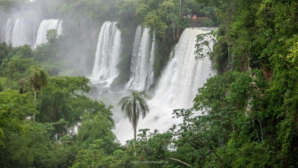 Iguazu - przewodnik po najpiękniejszym wodospadzie świata 54 iguazu