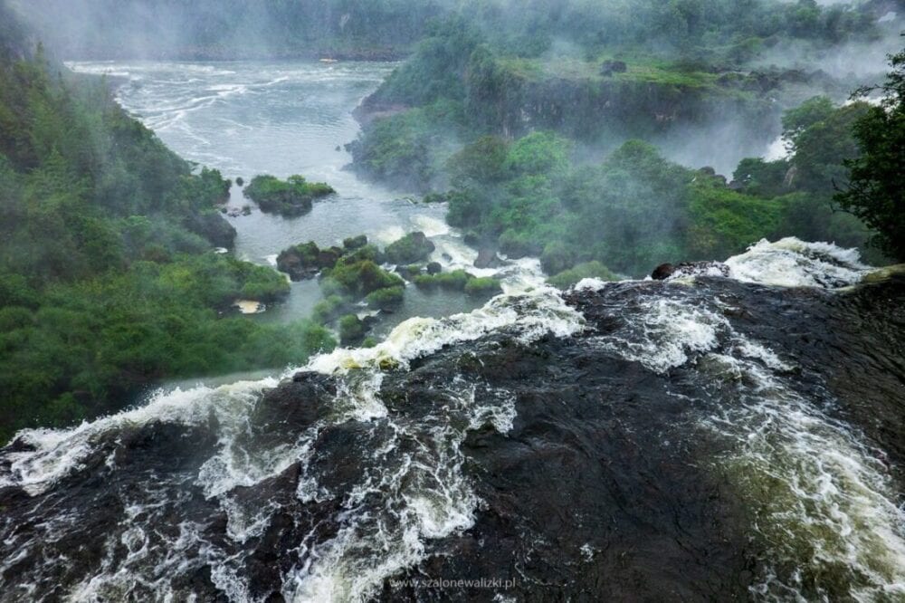 Iguazu - przewodnik po najpiękniejszym wodospadzie świata 55 argentyńska strona wodospadu