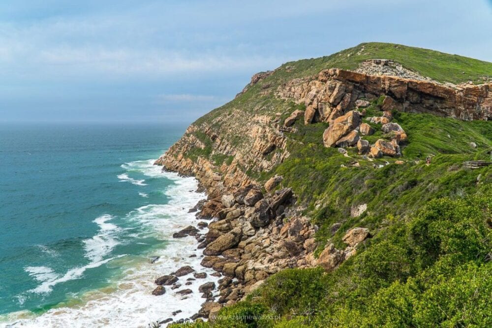 robberg nature reserve
