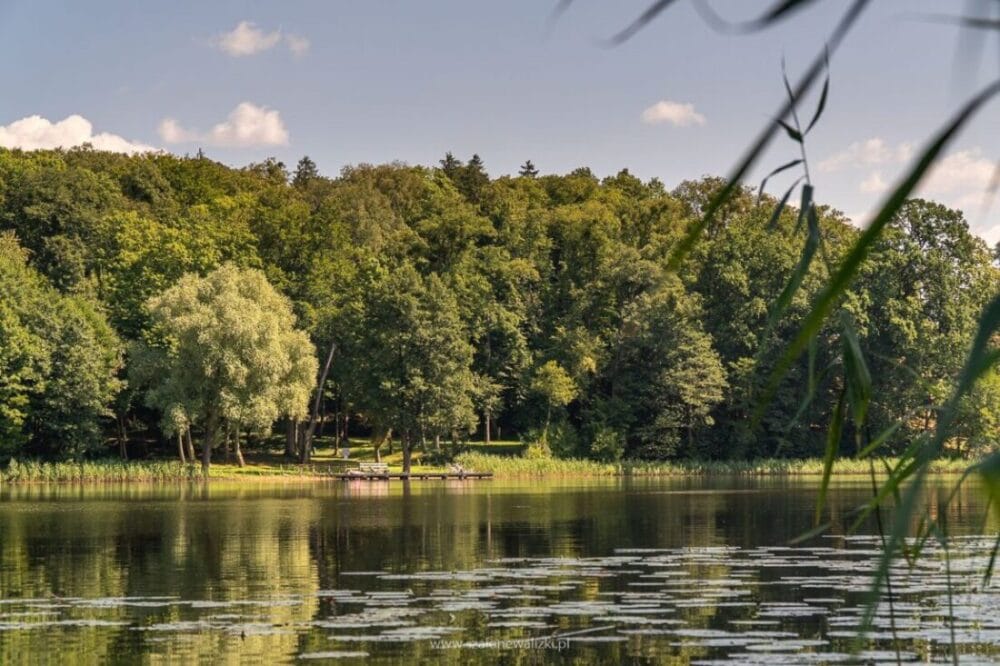 Beniaskie, Agroturystyka nad Jeziorem - na pograniczu magicznej Warmii 40 Bieniaskie Agroturystyka nad Jeziorem