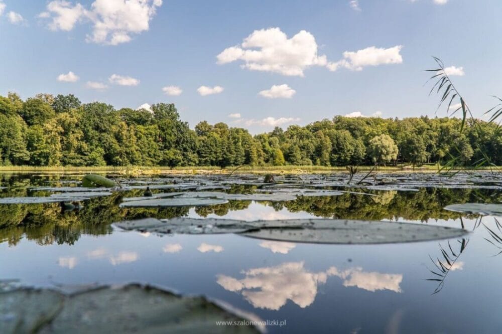 Beniaskie, Agroturystyka nad Jeziorem - na pograniczu magicznej Warmii 39 Bieniaskie Agroturystyka nad Jeziorem
