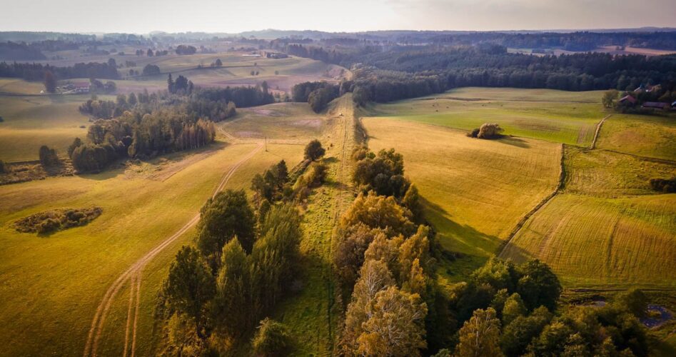mazury garbate