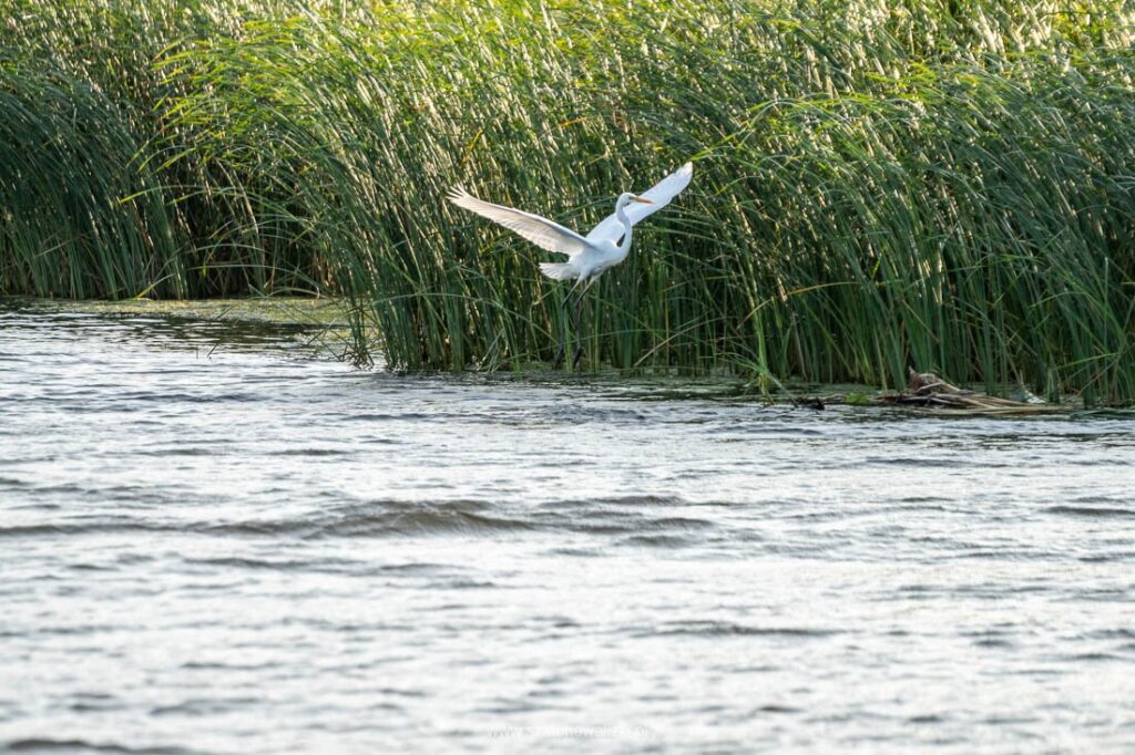 Przez Pomorskie po wodzie - zobacz Bałtyk, Wisłę, Zalew i Malbork 50 przez pomorskie po wodzie