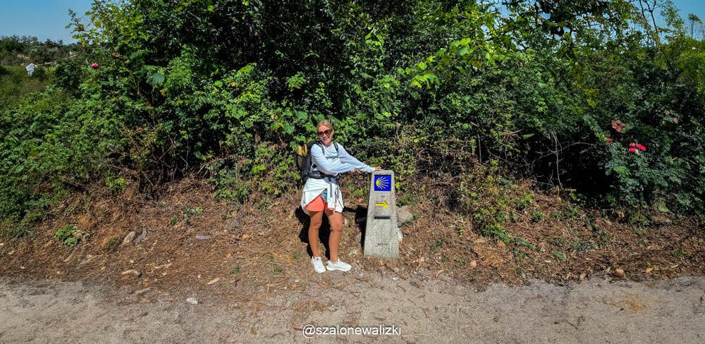 camino de santiago