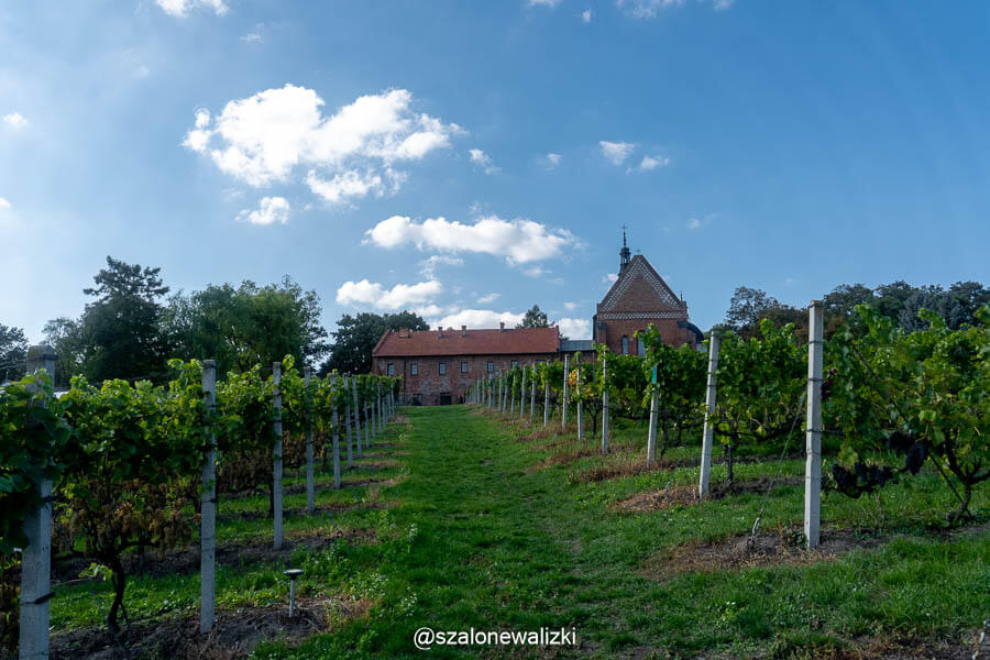Sandomierz, atrakcje, które warto zobaczyć. Plan zwiedzania na 1 dzień i weekend 59 sandomierz