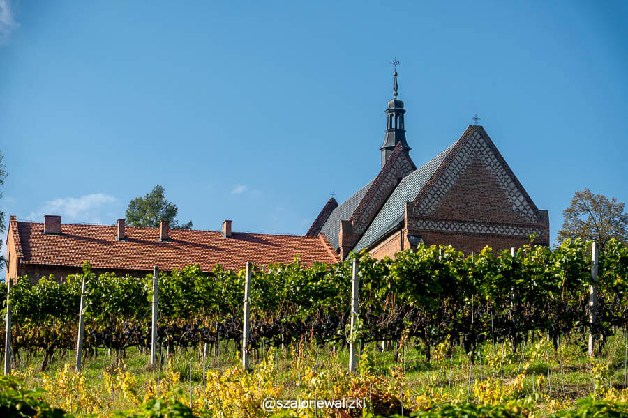 Sandomierz, atrakcje, które warto zobaczyć. Plan zwiedzania na 1 dzień i weekend 58 sandomierz